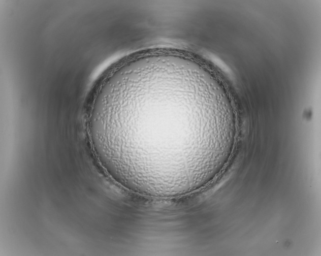 X0000090751310200708172019