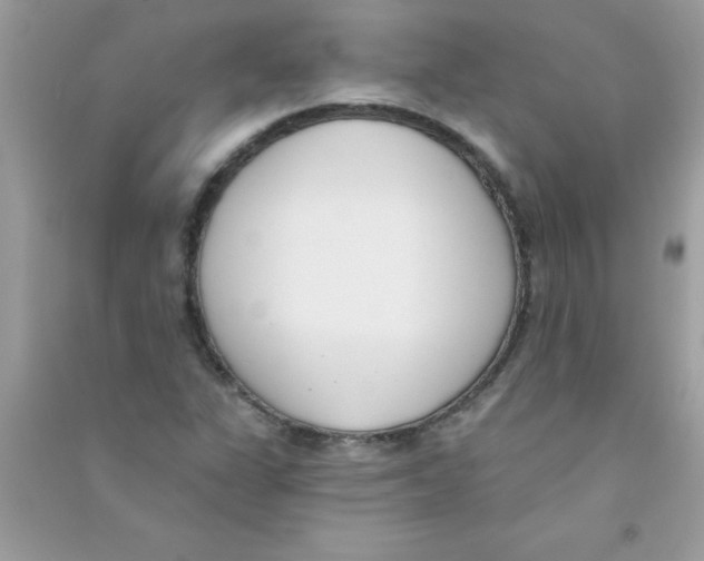 X0000090751311200708172019