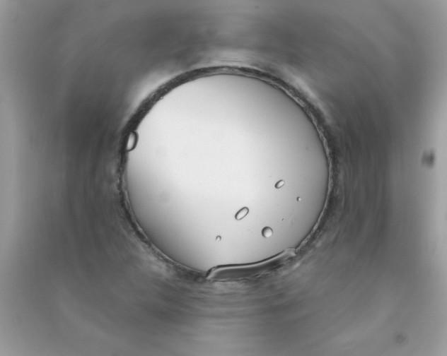 X0000090751312200708172019