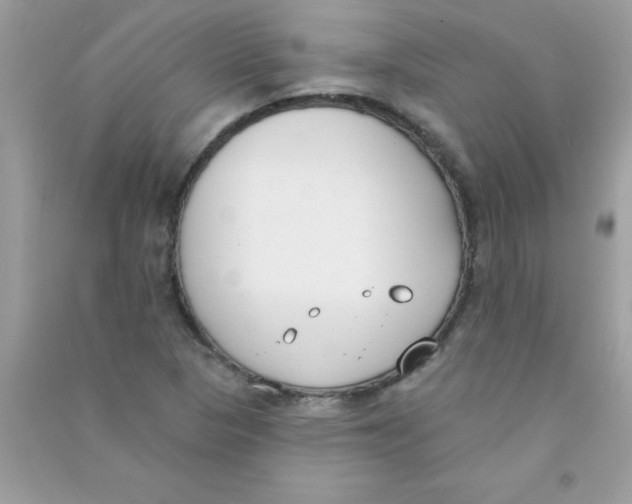 X0000090751313200708172019