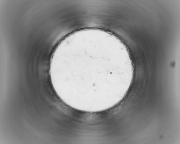 X0000090751314200708172019