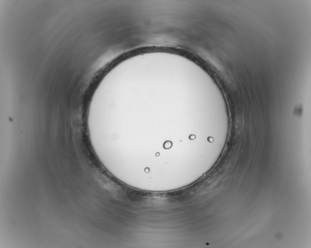 X0000090751315200708172019