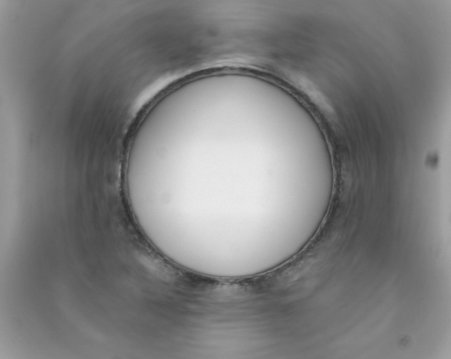 X0000090751316200708172019