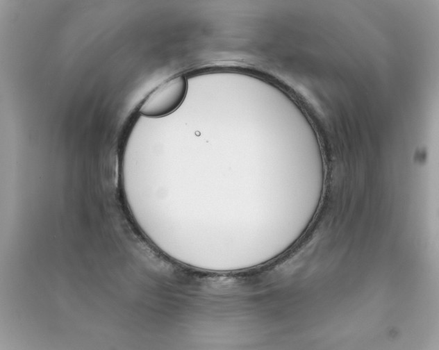 X0000090751317200708172019