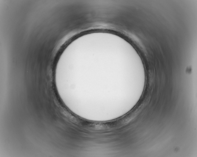 X0000090751318200708172019