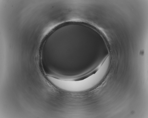 X0000090751319200708172019