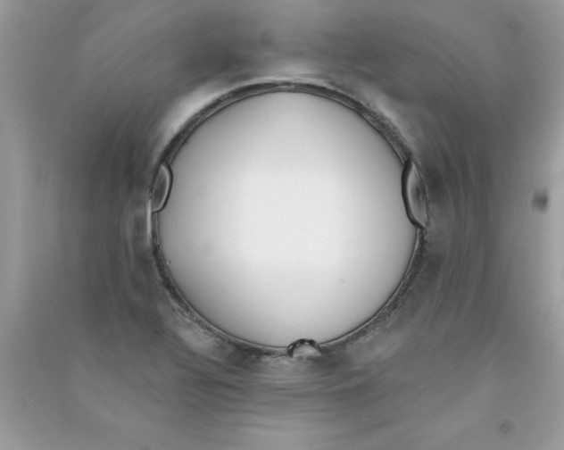 X0000090751320200708172019