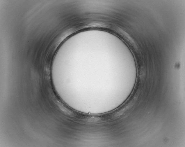 X0000090751321200708172019