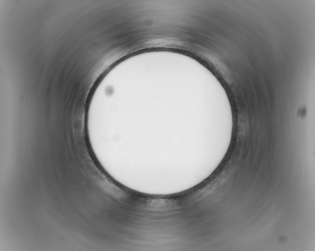 X0000090751322200708172019