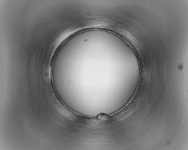 X0000090751324200708172020