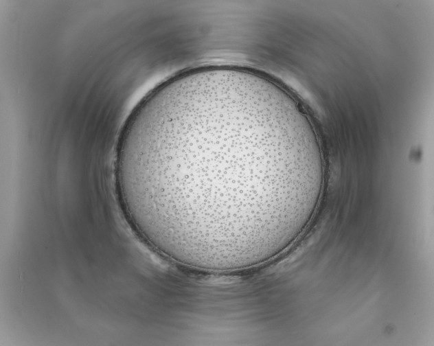 X0000090751325200708172020