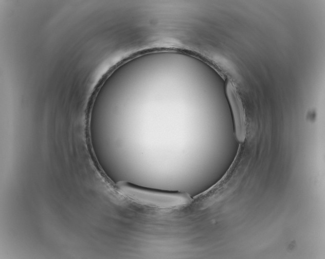 X0000090751326200708172020