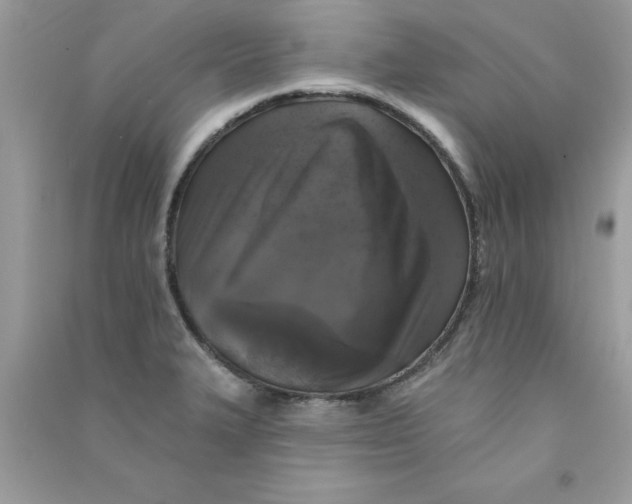 X0000090751327200708172020