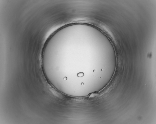 X0000090751328200708172020
