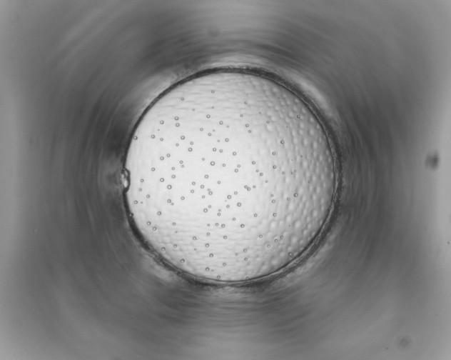 X0000090751329200708172020