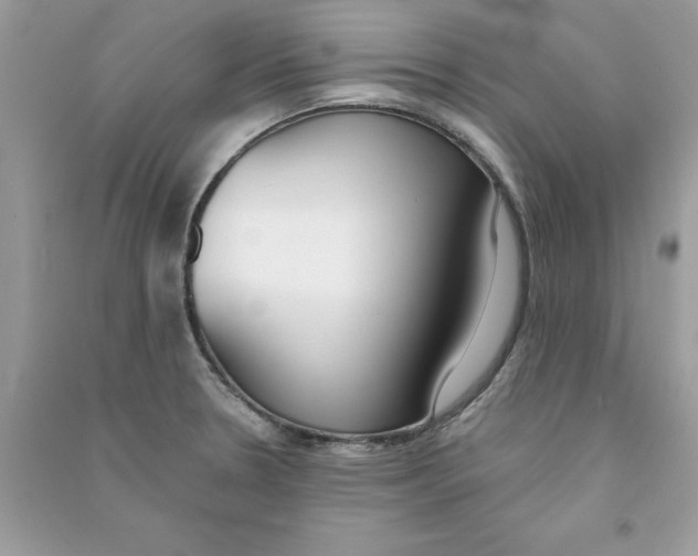 X0000090751330200708172020