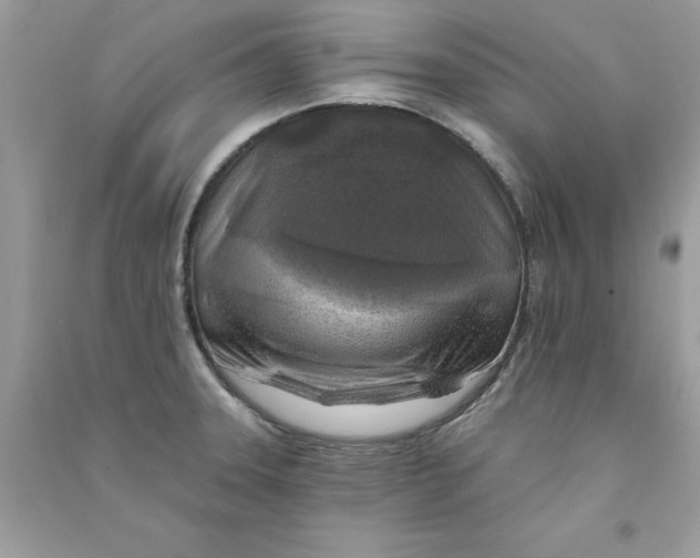 X0000090751331200708172020