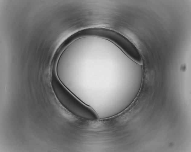 X0000090751332200708172020