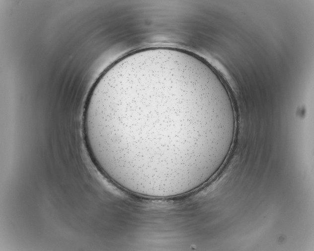 X0000090751333200708172020