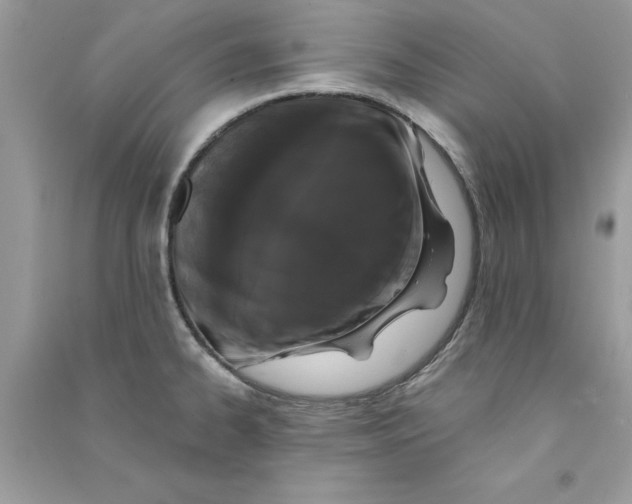 X0000090751334200708172020