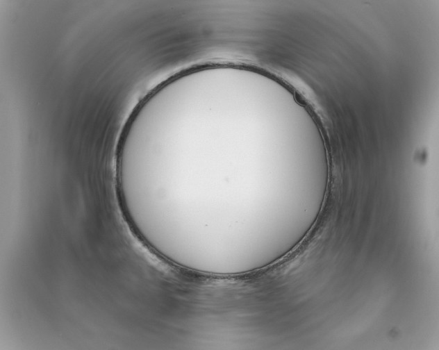 X0000090751335200708172020