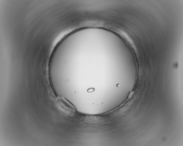X0000090751336200708172020