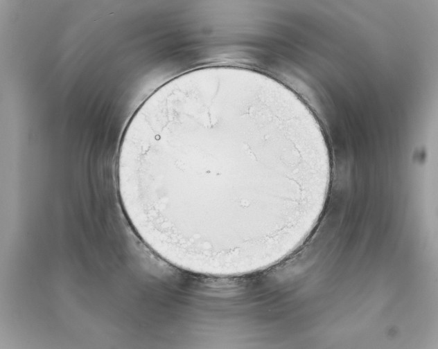 X0000090751338200708172020