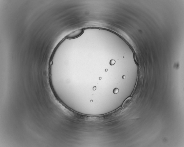 X0000090751339200708172020