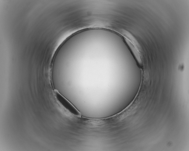 X0000090751340200708172020