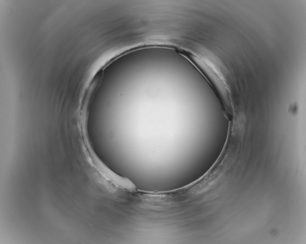 X0000090751342200708172020