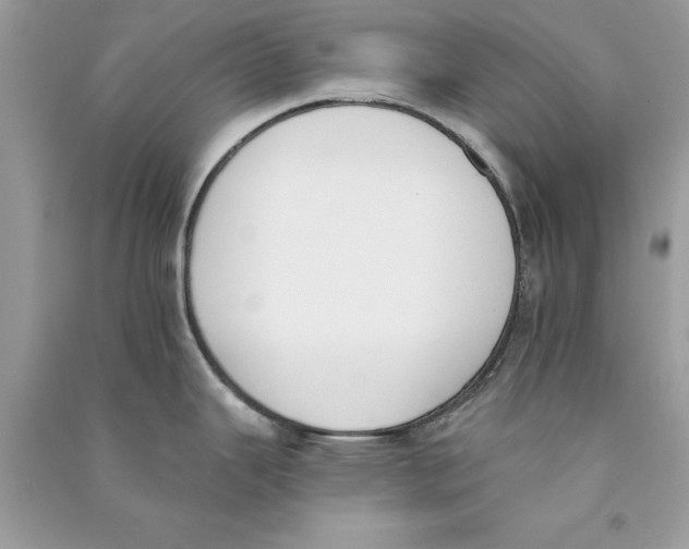 X0000090751343200708172020