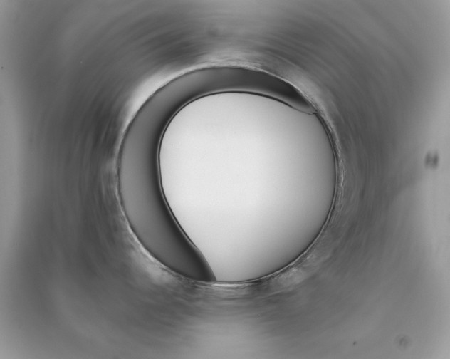 X0000090751344200708172020