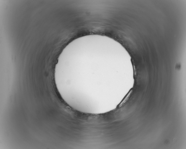 X0000090751345200708172019