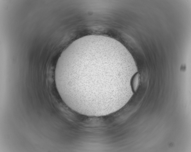 X0000090751346200708172019