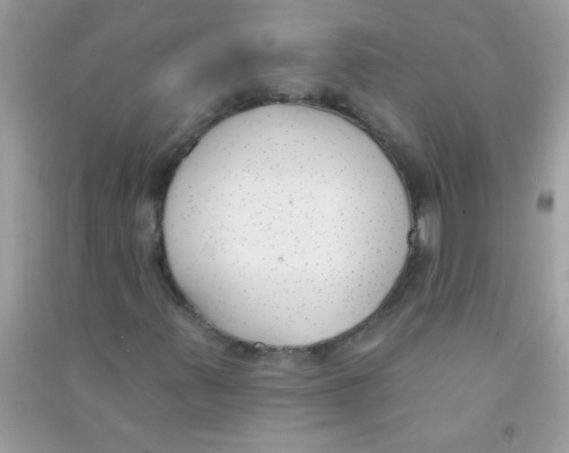 X0000090751347200708172019