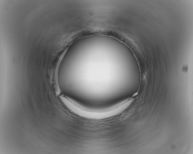 X0000090751348200708172019