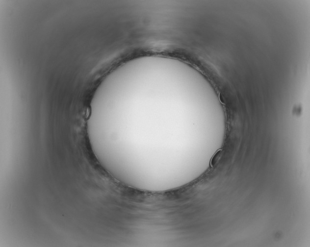 X0000090751349200708172019