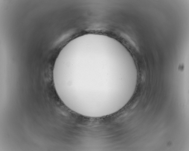 X0000090751350200708172019