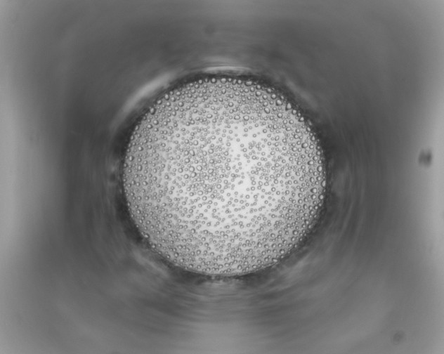 X0000090751351200708172019
