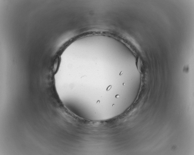 X0000090751352200708172019