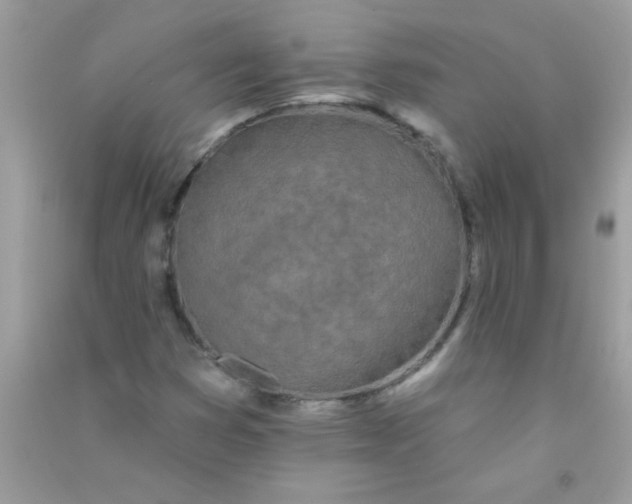 X0000090751353200708172019