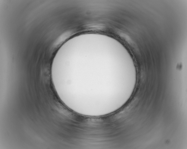 X0000090751354200708172019
