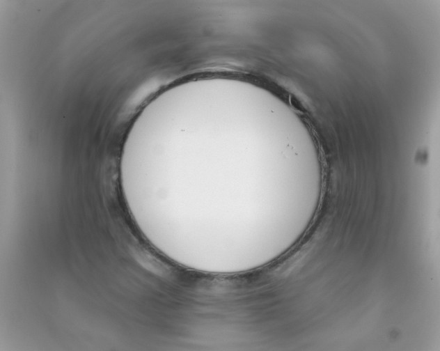 X0000090751355200708172019