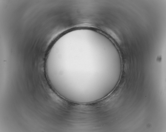 X0000090751356200708172019