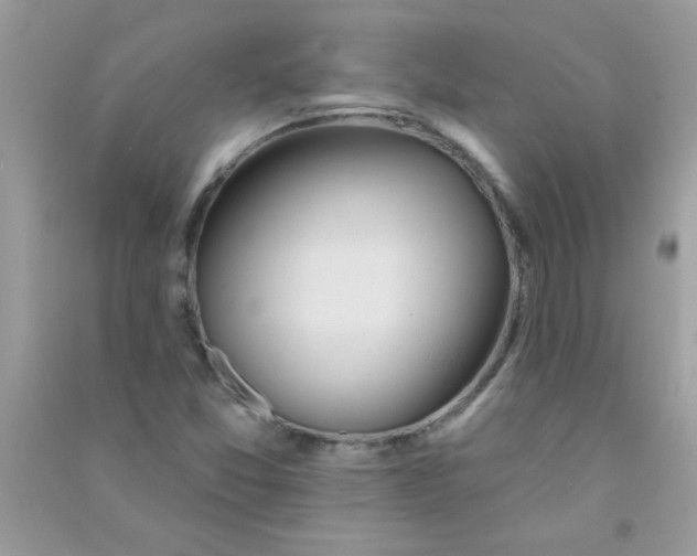 X0000090751357200708172019