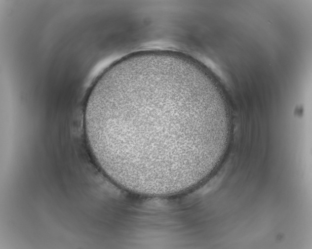 X0000090751358200708172019