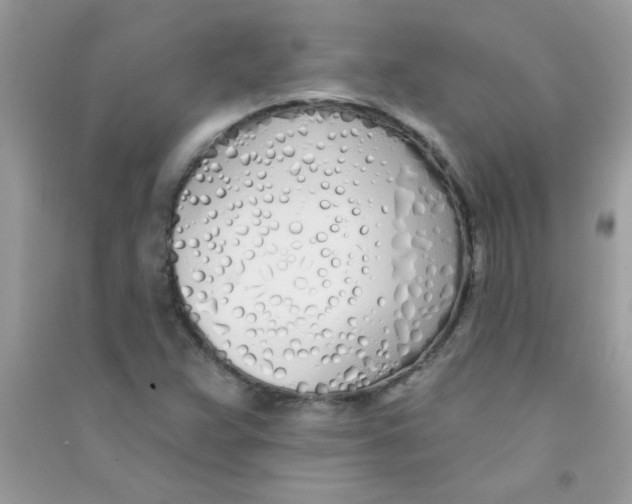X0000090751359200708172019