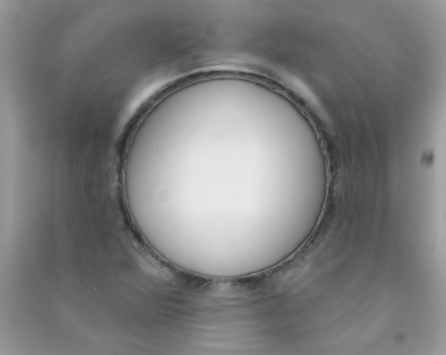 X0000090751360200708172019
