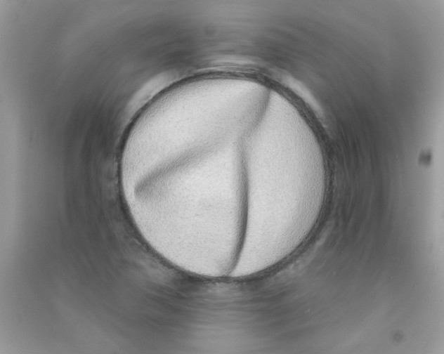 X0000090751362200708172019