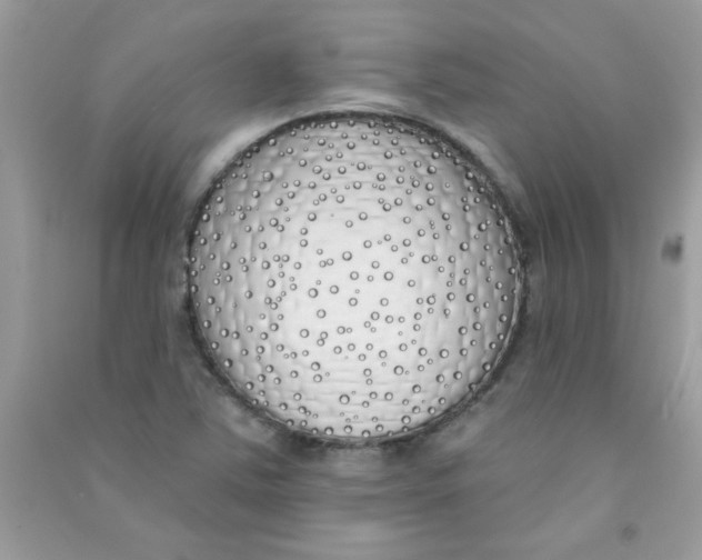 X0000090751363200708172019